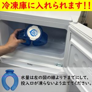 正規取扱店 夏のカラダケア アイシングU & ...の詳細画像4