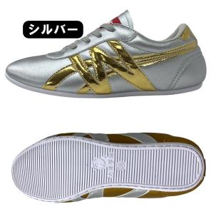 太極拳シューズ カンフーシューズ 武術シューズ...の詳細画像4