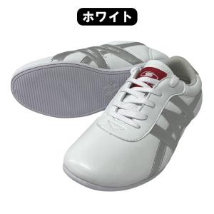 太極拳シューズ カンフーシューズ 武術シューズ...の詳細画像5