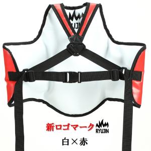 【サイズ交換送料無料】RYUJIN リュウジン...の詳細画像3