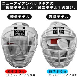 【サイズ交換送料無料】通常モデル RYUJIN...の詳細画像1
