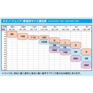 2026年新モデル!! ミズノ 柔道着 上下セ...の詳細画像1