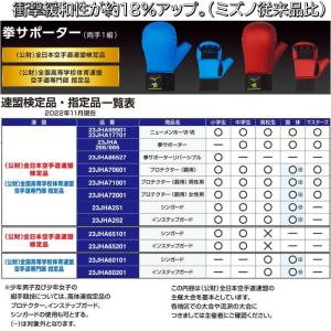 レッド、ブルーの2点セット ミズノ 空手 拳サ...の詳細画像1