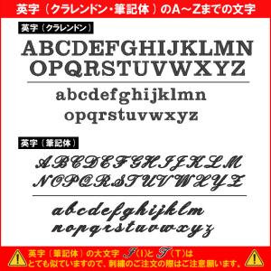 団体名+名前が刺繍で入る 空手道 リュックサッ...の詳細画像4