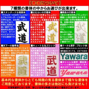 【IJF新規格対応】 上(2文字)下(2文字)...の詳細画像3