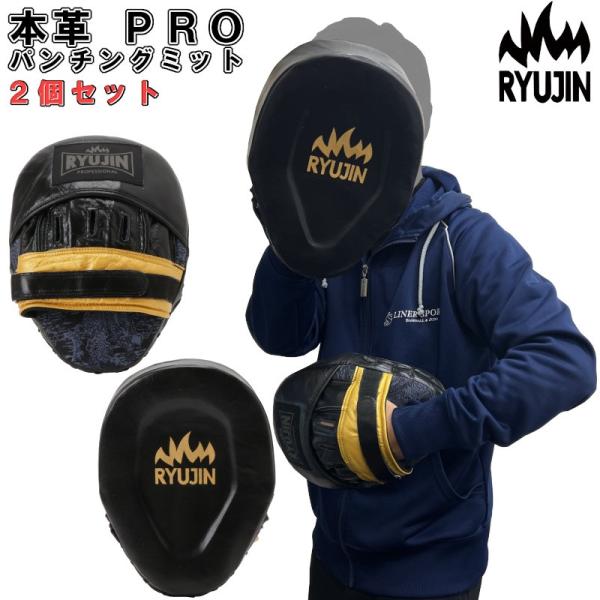 リュウジン RYUJIN 本革 PRO パンチングミット 左右セット 171732318
