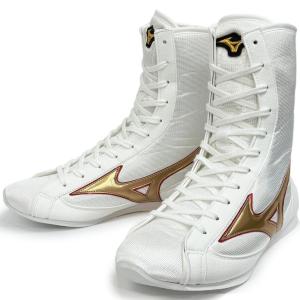 MIZUNO ミズノ ボクシングシューズ イージースペクトラ 60