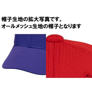 【刺繍マーク付き 1文字1色刺繍】ミズノ 野球...の詳細画像5