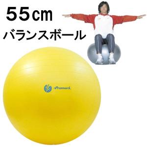 バランスボール 55cm 適用身長 150 170cm 体幹 筋トレ ダイエット ノンバースト ポンプ 空気入れ 付 プロマーク Promark Tpt0251 Tpt0251 ライナースポーツ 通販 Yahoo ショッピング