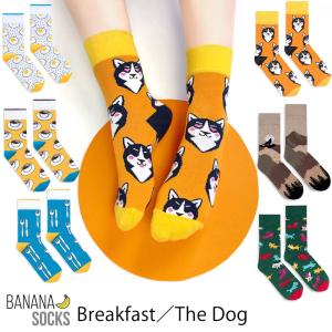 BANANA SOCKS Breakfast／The Dog ポーランド 直輸入インポート クルーソックス コットン 高品質 カラフル ミニマルモード｜lingerie-felice