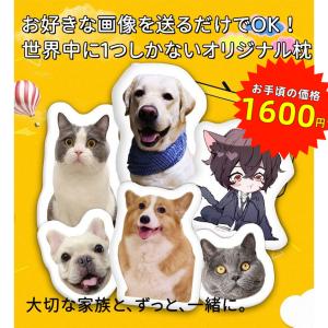 写真入れ  メモリアルクッション もこもこ両面印刷