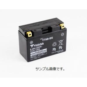YT9B-BS XP500 T-MAX 型式：SJ04J (GT9B-4互換) 液別即用式  1年保...