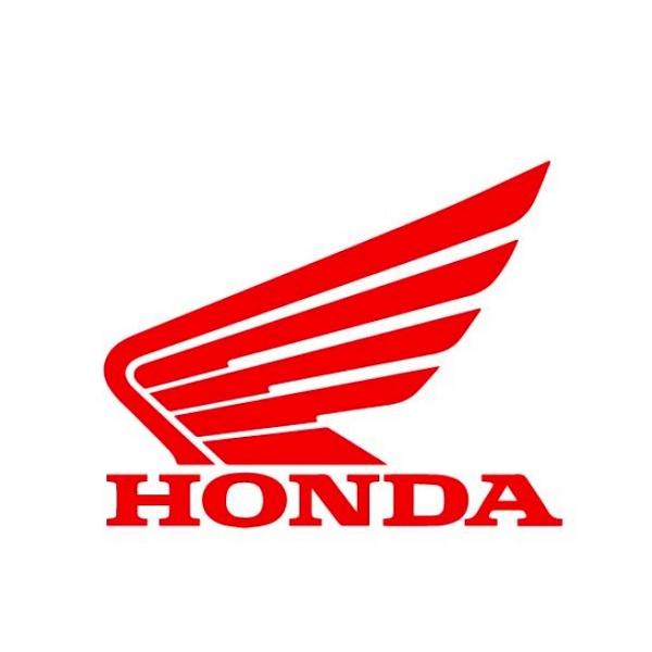 52100-GBJ-710ZU スウインク゛アームAS*R134* ホンダ純正部品