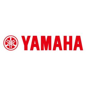 その他 Emi 1WS-24602-00 キャップアセンブリ 1WS-24602-00 1個 YAMAHA(ヤマハ