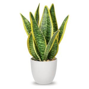 Villa Como フェイクグリーン インテリアグリーン サンスベリア 人工観葉植物 造花 卓上 エアプランツ 新築祝い 開店祝い 新年 クリスマス