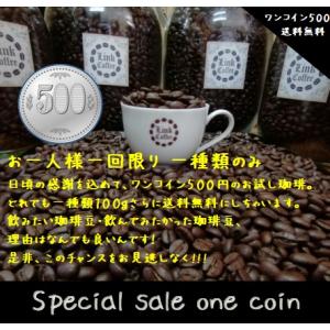 コーヒー豆 コーヒー 豆 珈琲豆 お一人一回限り ワンコイン 500円 お好きなストレート豆 １００g　どれでも 一種類｜link-coffee