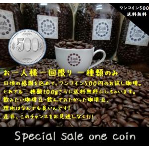 コーヒー豆 コーヒー 豆 珈琲豆 お一人一回限り ワンコイン 500円 お好きなストレート豆 １００...