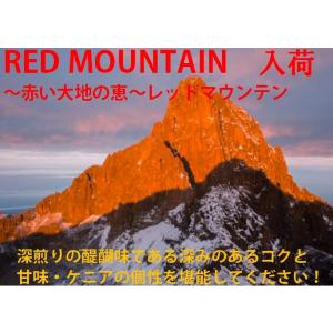 コーヒー豆 コーヒー 珈琲豆 こーひー 送料無料 深煎り &lt;ケニア&gt; 自家焙煎 200ｇ 苦味 甘味...