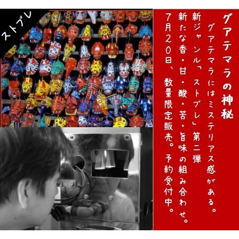 送料無料 ストブレ グアテマラの神秘 200ｇ コーヒー豆