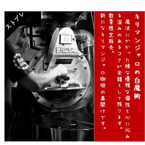 送料無料 ストブレ キリマンジャロの白魔術 200ｇ コーヒー豆
