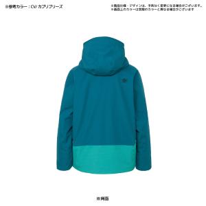 【在庫処分セール】2024-25 GOLDWI...の詳細画像1