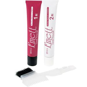 ヘアカラー ブラウン 1剤(50g) 2剤(50...の商品画像
