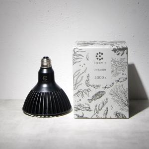 CERAPHIC（セラフィック）いきもの電球 5000K（狭角）【KYOCERA】京セラ　植物育成LEDライト