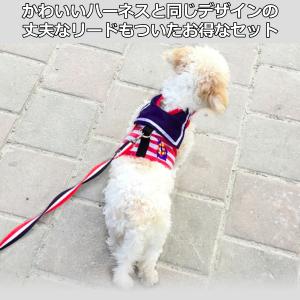 犬 ハーネス リード セット 小型犬 かわいい...の詳細画像1