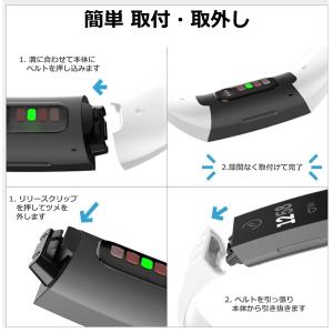 Fitbit Charge 4 / 3 バンド...の詳細画像4