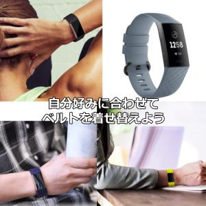 Fitbit Charge 4 / 3 バンド...の詳細画像5