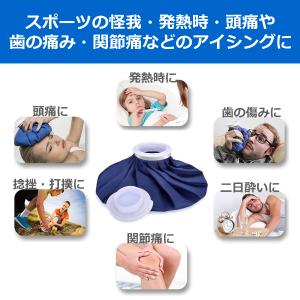 氷嚢 ゴルフ スポーツ 氷のう 保冷 アイシン...の詳細画像1