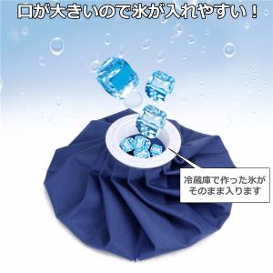 氷嚢 ゴルフ スポーツ 氷のう 保冷 アイシン...の詳細画像3
