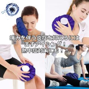 氷嚢 ゴルフ スポーツ 氷のう 保冷 アイシン...の詳細画像5