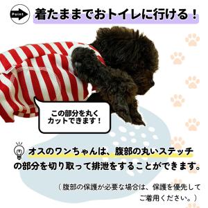 ペット 術後服 術後着 猫 犬 エリザベスカラ...の詳細画像2