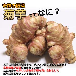 菊芋 キクイモ 生 3kg 土付き 日持ちが良...の詳細画像1