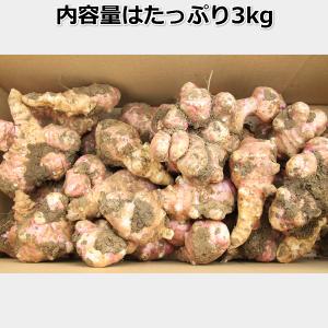 菊芋 キクイモ 生 3kg 土付き 日持ちが良...の詳細画像5
