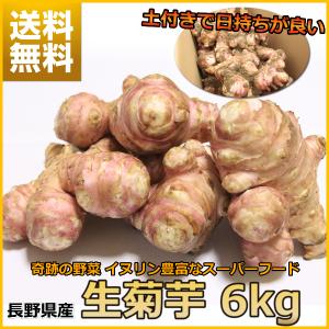 菊芋 キクイモ 生 6kg 土付き 日持ちが良い イヌリン 長野県産 食物繊維  スーパーフード 血糖値 中性脂肪 栄養素
