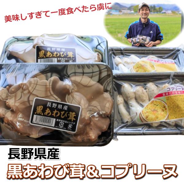 長野県産 黒あわび茸 コプリーヌ セット 500g きのこ お取り寄せ 美味しい 絶品キノコ ギフト...