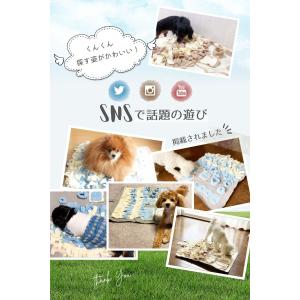 ノーズワーク マット Sサイズ 犬 おもちゃ ...の詳細画像1