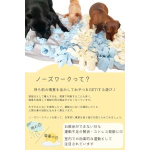 ノーズワーク マット Sサイズ 犬 おもちゃ ...の詳細画像2