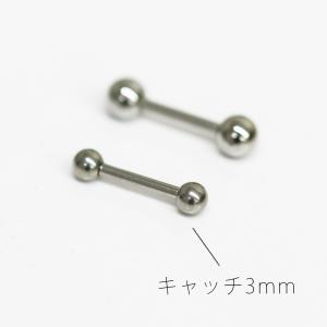ストレートバーベル 16g ステンレス316L...の詳細画像1