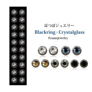 シルバーリング 耳つぼジュエリー 20粒 送料無料 ダイエット 耳つぼ