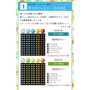 夏限定!summer福袋 豪華10点セット 耳...の詳細画像2