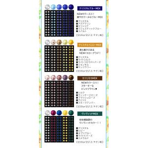 夏限定!summer福袋 豪華10点セット 耳...の詳細画像4