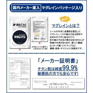 正規マグレイン チタンビーズクリア 200粒 ...の詳細画像1