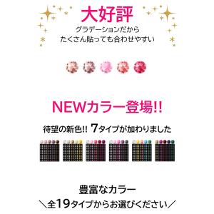 耳つぼジュエリー 100粒 グラデーションMI...の詳細画像2