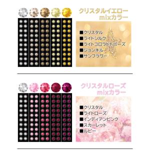 耳つぼジュエリー 100粒 グラデーションMI...の詳細画像4
