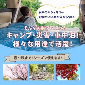 シュラフ 寝袋 春 夏 コンパクト 封筒型 洗...の詳細画像1