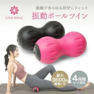 振動ボール ツインバージョン フォームローラー マッサージボール