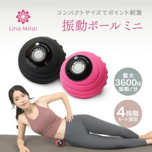 振動ボール ミニ マッサージボール 充電式 コードレス